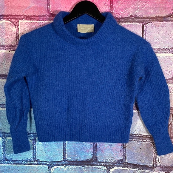 Everlane Women’s Alpaca Felted Sweater Blue Size S Crewneck Soft Knit Fuzzy Crop - Picture 1 of 7